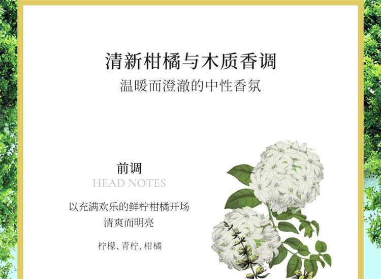 商品Penhaligon's|Penhaligon's潘海利根 皇家橡树古龙水「英式风尚」 50mL/100mL 100mL,价格¥901,第6张图片详细描述