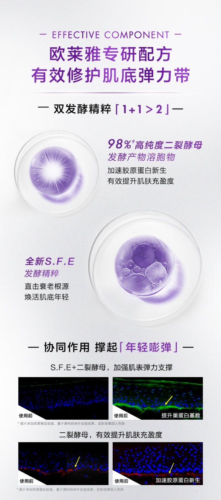 商品L'Oreal Paris|欧莱雅 第三代黑精华青春密码酵素精华肌底液 75ml 明星二裂酵母成分 维稳修护肌底 嫩肤抗初老,价格¥366,第6张图片详细描述