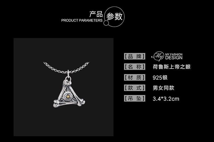 商品[国内直发] MYFD|MYFD 项链男女同款S925银复古风闪电 印第安风格硬币 吊坠,价格¥89,第6张图片详细描述