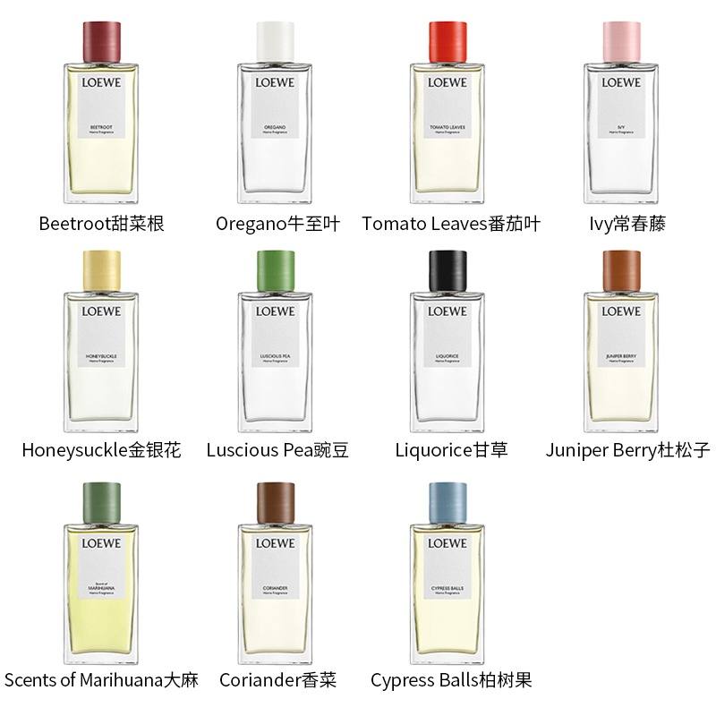 商品Loewe|LOEWE罗意威全系列室内喷雾150ml,价格¥796,第14张图片详细描述