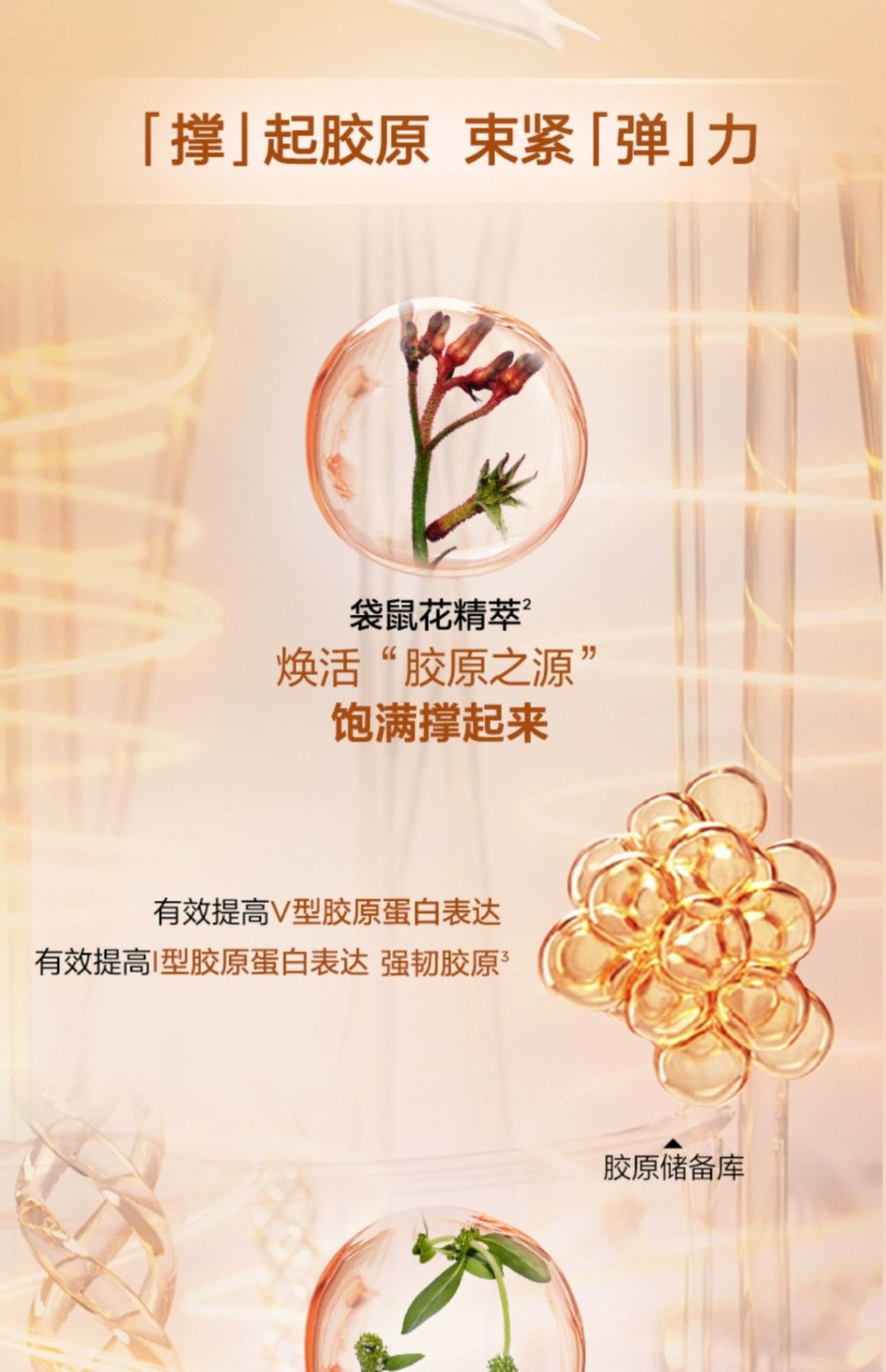 商品Clarins|Clarins 娇韵诗 焕颜紧致弹簧乳液 75ml 混油皮轻盈易吸收保湿,价格¥500,第3张图片详细描述