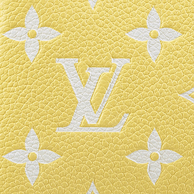 商品Louis Vuitton|预售10天 Louis Vuitton/路易威登 经典款 女士迷你黄色老花印花粒面牛皮革金扣金链拉链开合手拿包M46129,价格¥6075,第6张图片详细描述