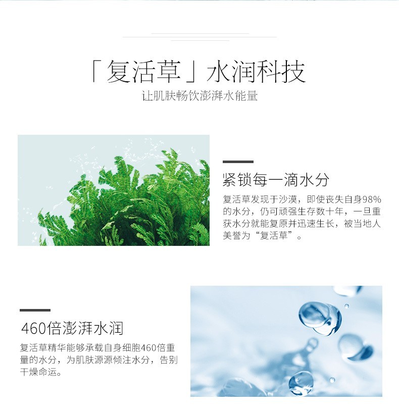 商品[国内直发] Bb LABORATORIES|Bb Laboratories 复活草水润修护面膜膏 175克,价格¥264,第6张图片详细描述