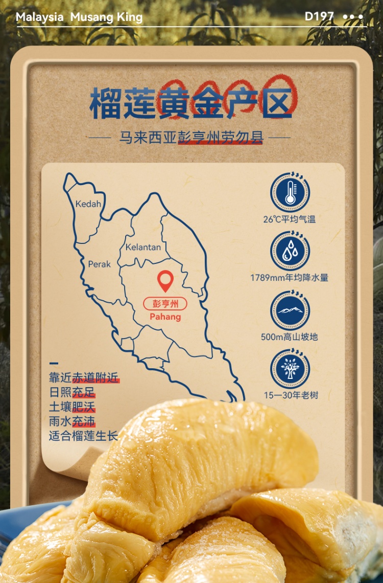 商品[国内直发] Dr.Surprise|市舶士马来西亚彭亨州猫山王 新鲜水果液氮冷冻保鲜带壳榴莲D197整个【非次日达】,价格¥9423,第3张图片详细描述