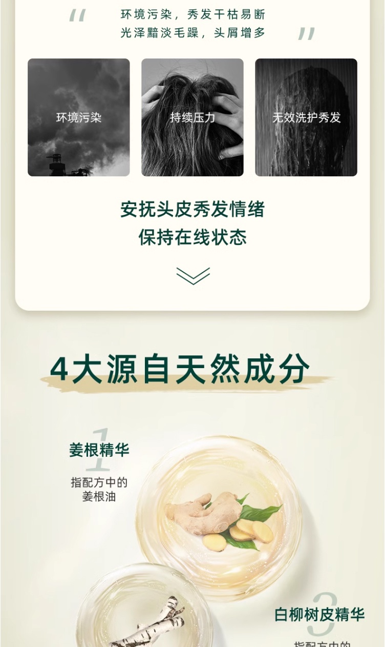 商品[国内直发] THE BODY SHOP|美体小铺 生姜头皮护理洗发露 400ml ��单瓶/2瓶装,价格¥50,第2张图片详细描述