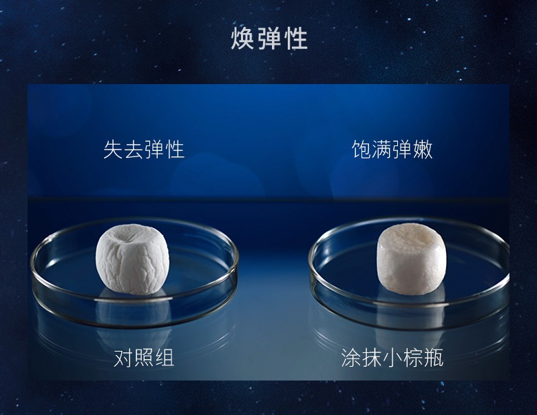 商品Estée Lauder|Estee Lauder雅诗兰黛（第七代）面部小棕瓶精华液100ml【香港直邮】Estee Lauder Advanced Night Repair Synchronized Multi-Recovery Complex 100ml,价格¥595,第9张图片详细描述