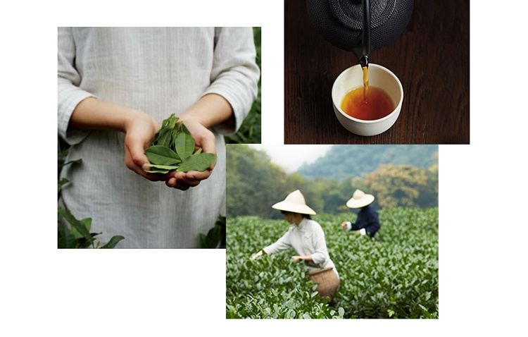 商品Fresh|馥蕾诗（Fresh）红茶紧致修护面膜100ml *2 黑白罐套盒,价格¥483,第8张图片详细描述