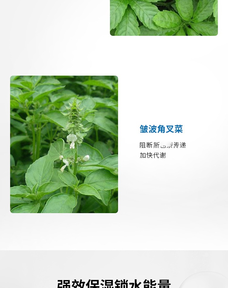 商品Nescens|Nescens妮尚希焕彩凝胶眼膜30ml,价格¥778,第6张图片详细描述