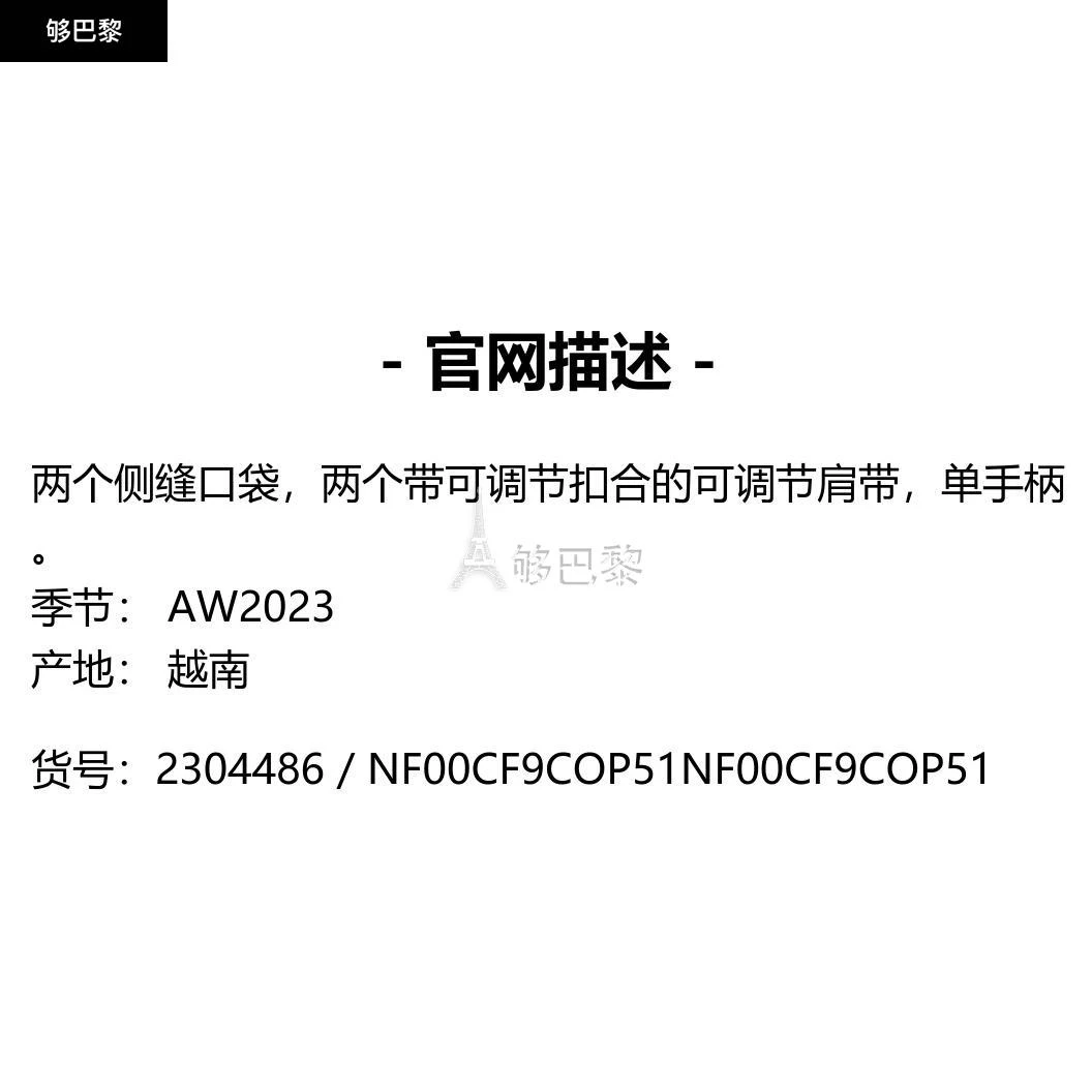 商品The North Face|【特惠8.6折】包邮包税【预售7天发货】 THE NORTH FACE 2023秋冬 男士 双肩包 双肩包 2304486 NF00CF9COP51 ,价格¥1376,第2张图片详细描述