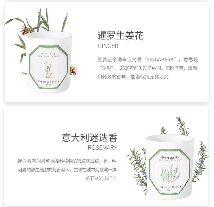 商品Carriere Freres|Carriere Freres法国植物学家全系列香薰蜡烛185g,价格¥373,第14张图片详细描述