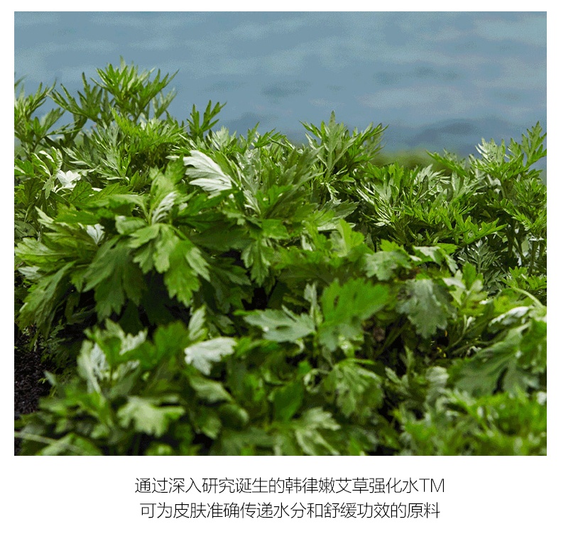 商品[国内直发] Hanyul|HANYUL/韩律 嫩艾草补水镇定净肤水150ml,价格¥134,第6张图片详细描述