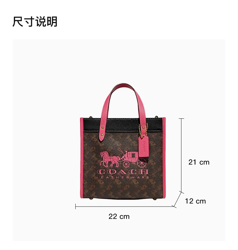 商品Coach|COACH 棕色女士单肩包 C8456B4TXG,价格¥1228,第3张图片详细描述