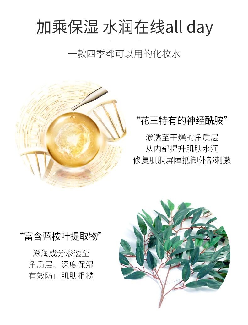 商品Curel|CUREL/珂润 保湿化妆水150ml 1号清爽型 2号标准型 3号极润型,价格¥143,第6张图片详细描述