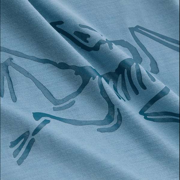 商品Arc'teryx|【Brilliant|包邮包税】始祖鸟 IONIA MERINO WOOL LOGO M[SS23] 新款上市 Ionic 美利奴羊毛标志男士 ATNSMX6796,价格¥1358,第10张图片详细描述
