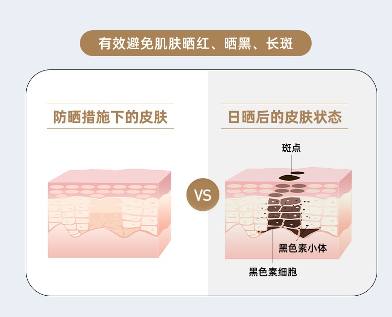 商品[国内直发] MobiGarden|黑胶天幕户外露营防雨防紫外线大尺寸隧道式牛津观庭,价格¥899,第20张图片详细描述