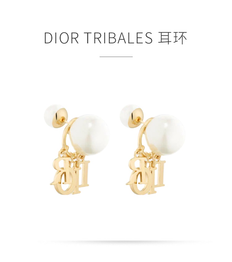 商品Dior|DIOR 迪奥 TRIBALES 耳环 D.I.O.R.标志 字母吊饰 E1411,价格¥5362,第1张图片详细描述