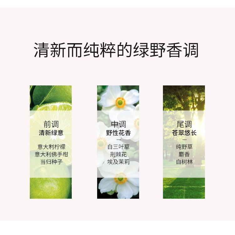 商品L'Occitane|欧舒丹2022限量绿野游踪率性护理套装 沐浴露250ml+身体乳250ml+护手霜30ml,价格¥362,第8张图片详细描述