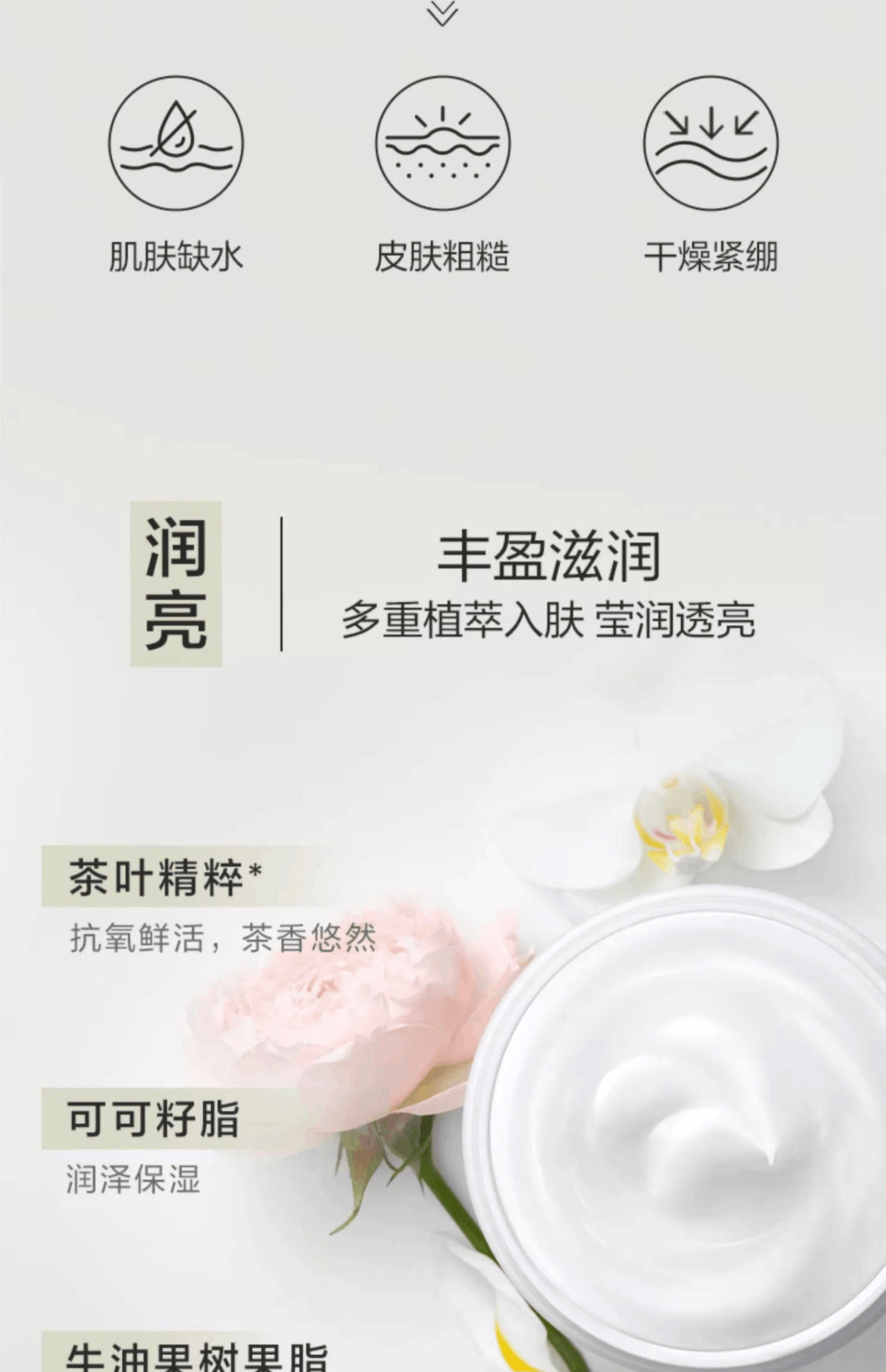 商品Elizabeth Arden|雅顿白茶身体乳香氛缓解干燥保湿滋润身体霜润肤露（384g或400ml随机发货）,价格¥172,第2张图片详细描述