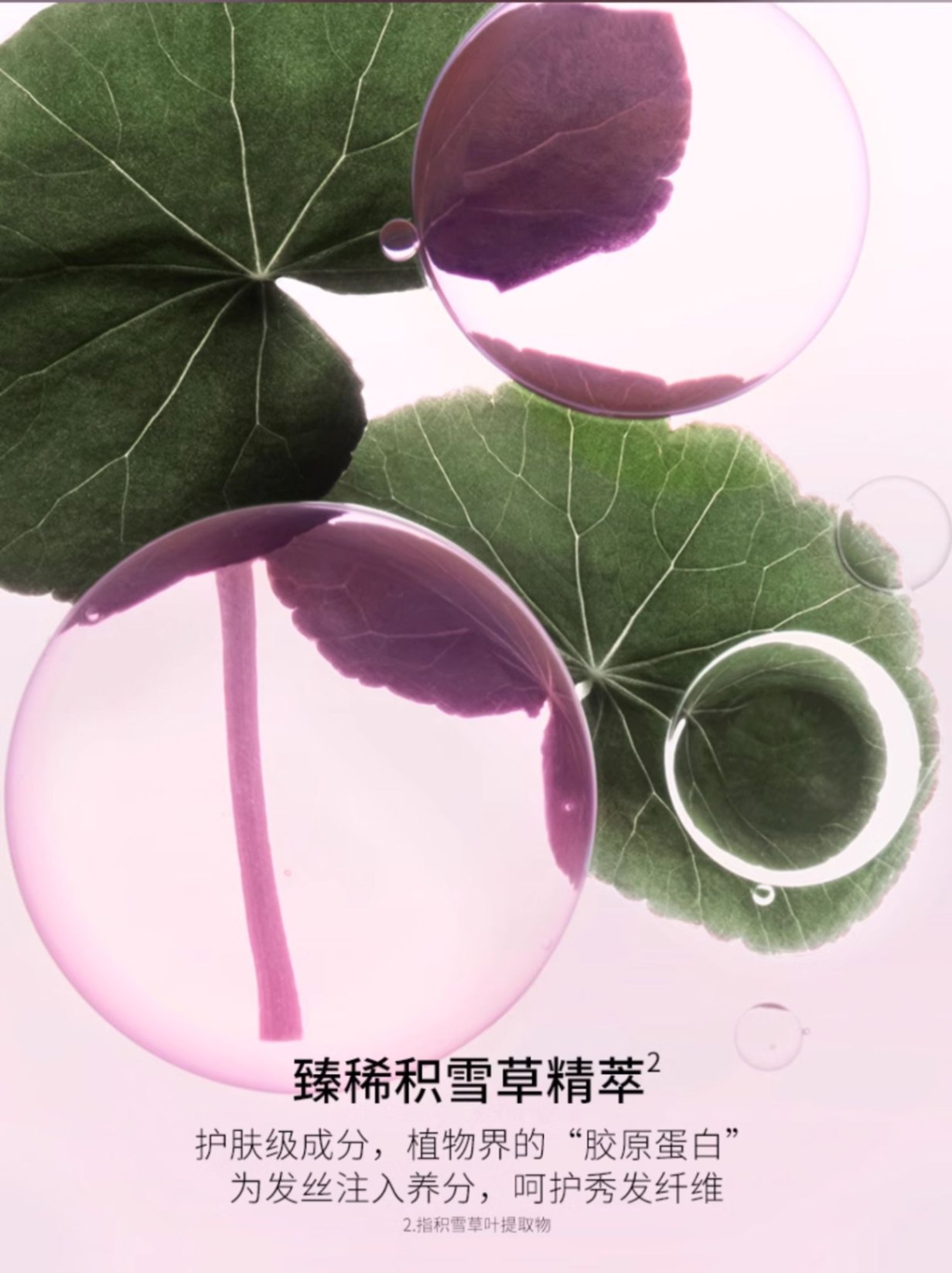 商品Kérastase|Kérastase卡诗 氨基酸水光洗发露琉彩臻护沁透洗发水 250ml 修护留香柔顺滋润,价格¥156,第10张图片详细描述