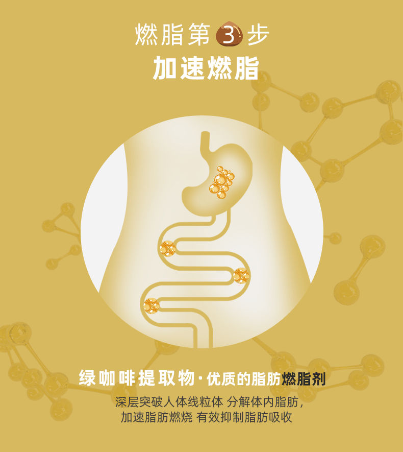 商品Healthbetber|Healthbetber栗子多酚阻断片60粒,价格¥207,第4张图片详细描述