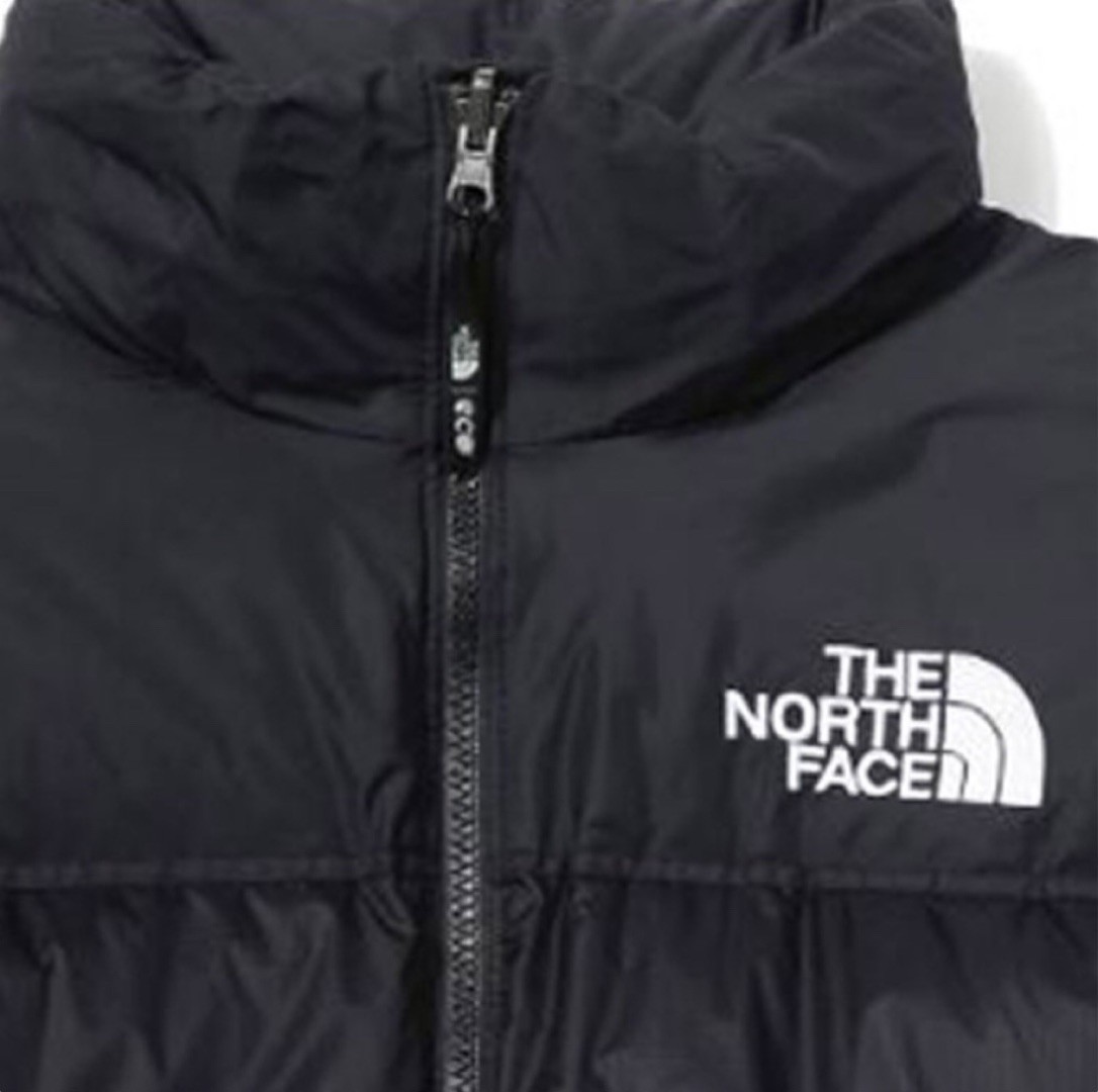 商品The North Face|【享贝家】（国内发货）THE NORTH FACE 北面 1996 ECO Nuptse 韩版羽绒服 男女同款 黑色 NJ1DN75ABLK G-LY,价格¥1535,第5张图片详细描述