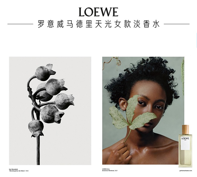商品Loewe|Loewe罗意威天光系列女士香水30-50-100-150ml EDT淡香水 ,价格¥484,第2张图片详细描述