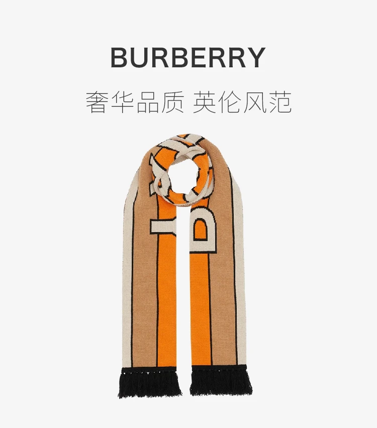 商品Burberry|BURBERRY 拼色男士围巾 8019589,价格¥2810,第1张图片详细描述