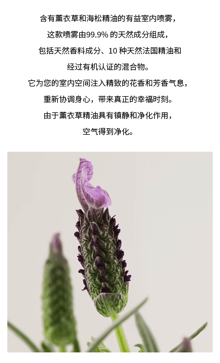 商品PAYOT|柏姿薰衣草室内喷雾100ml 协调身心 减少紧张和压力,价格¥262,第3张图片详细描述