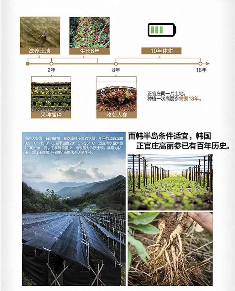 商品Jeong Gwanjang|【15天预售|韩国直邮|包邮包税】正官庄 贤 性价比首选 红参精 120g 提高免疫力 改善疲劳 增进记忆力,价格¥281,第7张图片详细描述