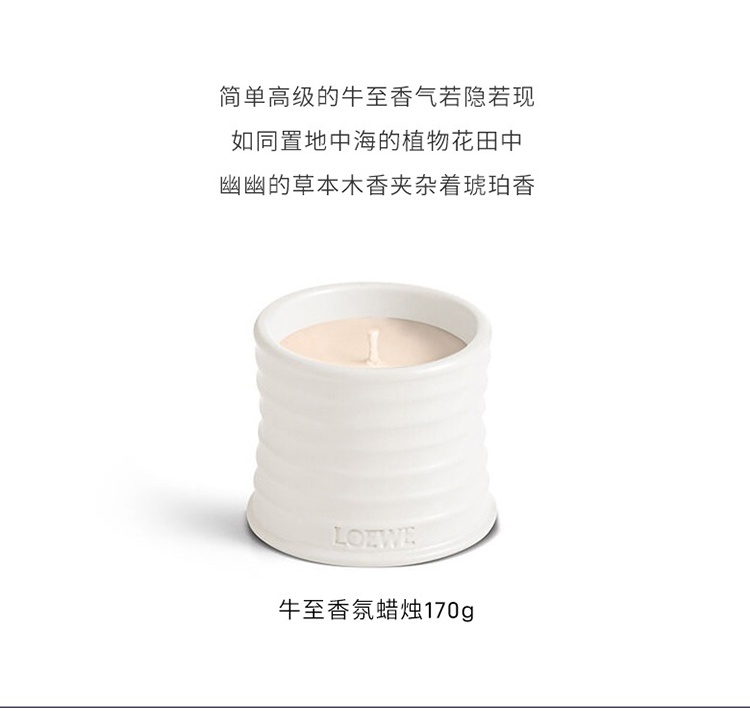 商品Loewe|Loewe罗意威香氛蜡烛170g-610g 全系列,价格¥738,第11张图片详细描述