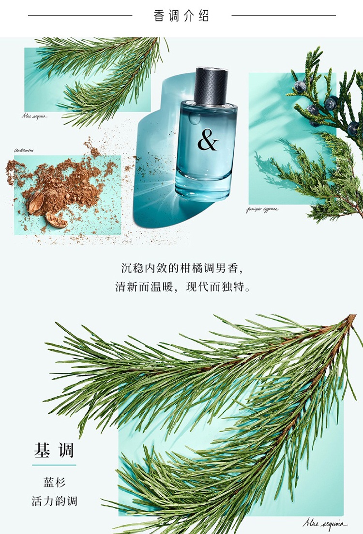 商品Tiffany & Co.|Tiffany & Co挚爱男士香水50-90ml EDT淡香水 ,价格¥524,第10张图片详细描述