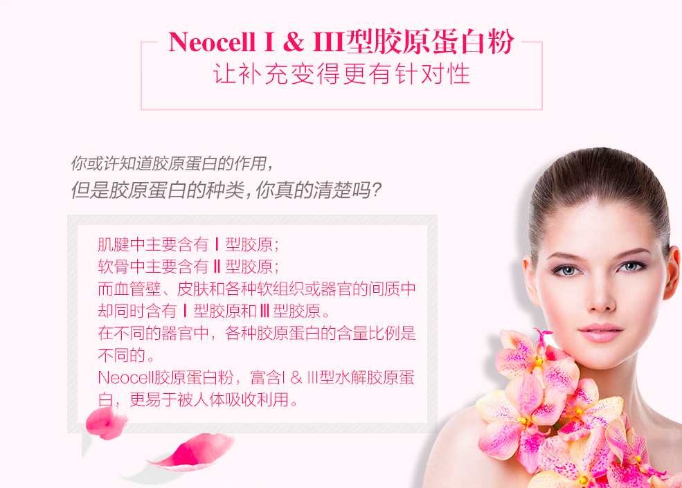 商品NeoCell|NEOCELL 1 & 3 型 水解胶原蛋白粉,价格¥113,第2张图片详细描述