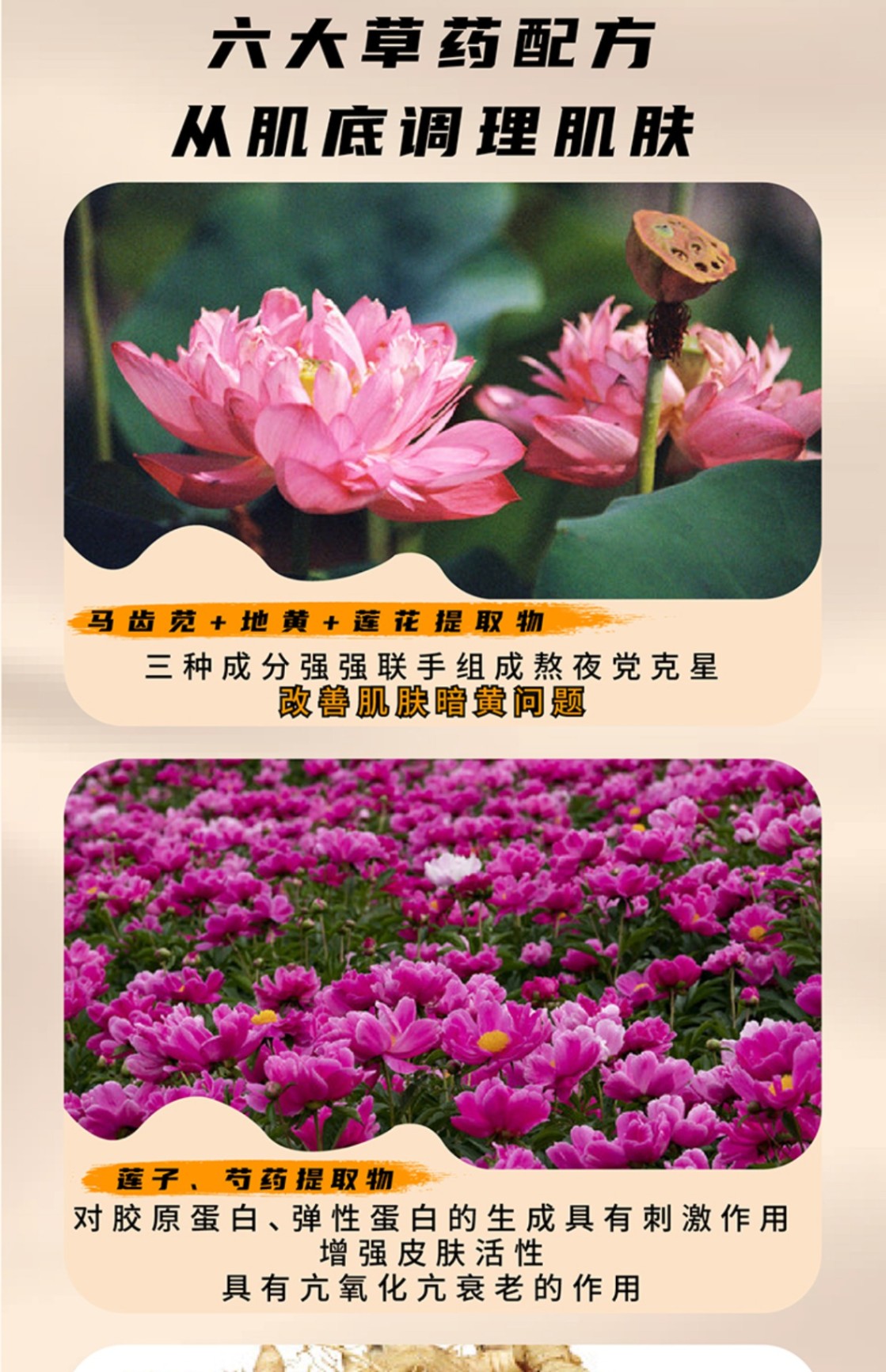 商品Sulwhasoo|【包税包邮】雪花秀新款全明星滋阴三件套盒滋阴水乳精华三件护肤套盒去黄保湿/各中样套装,价格¥96,第3张图片详细描述