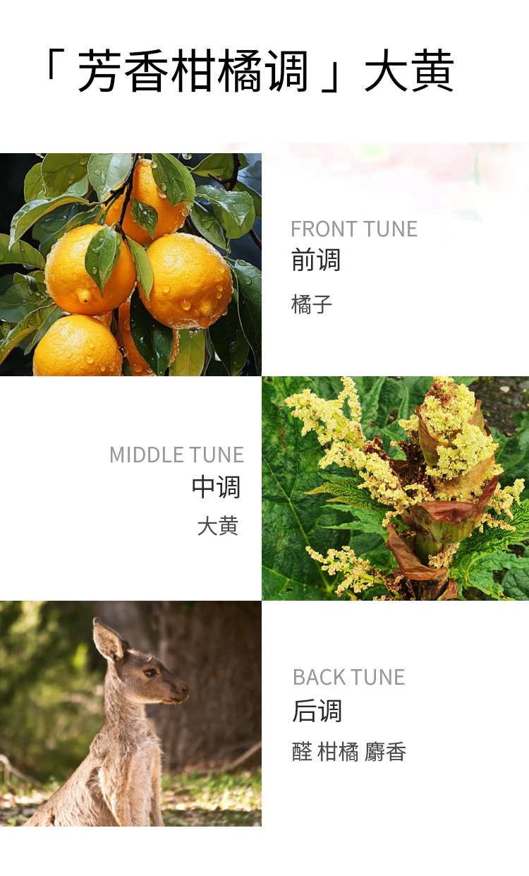 商品Prada|普拉达水印私藏系列「大黄」中性浓香水EDP 100ml 芳香柑橘调,价格¥966,第6张图片详细描述