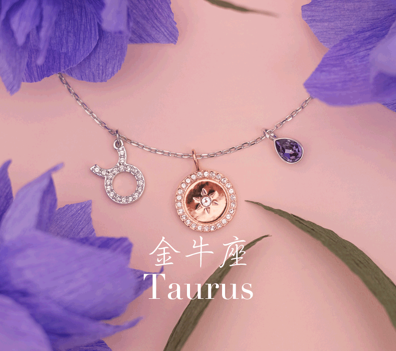 商品Swarovski|施华洛世奇正品项链女星座系列锁骨链时尚毛衣链礼物5349223（香港仓发货）,价格¥576,第2张图片详细描述