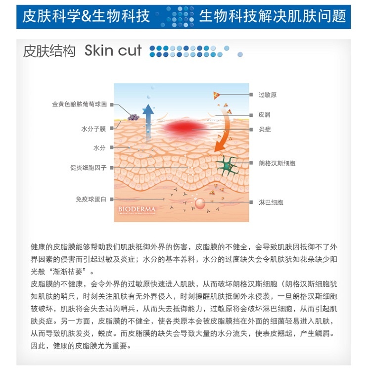 商品Bioderma|Bioderma贝德玛赋妍深层滋养润唇膏4g,价格¥80,第5张图片详细描述