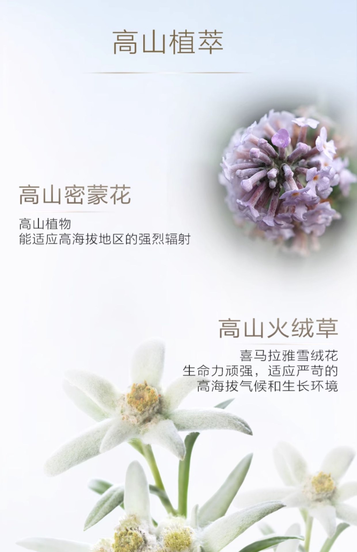 商品[国内直发] CHANDO|自然堂品牌授权正品保证轻薄冰爽学生军训广谱强力防晒喷雾防紫外线光老不脱妆,价格¥147,第8张图片详细描述