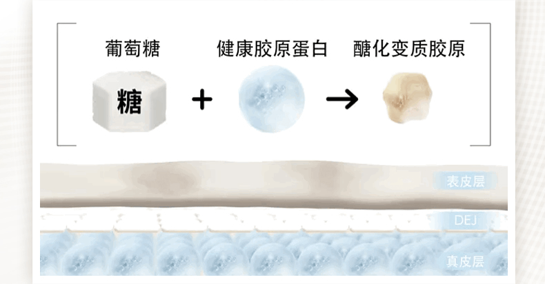 商品SkinCeuticals|SKINCEUTICALS/修丽可AGE紧致面霜 30%玻色因溶液改善细纹抗初老,价格¥1306,第2张图片详细描述