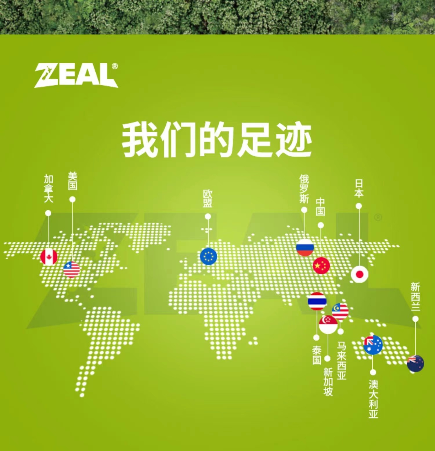 商品[国内直发] Zeal|新西兰全进口风干小牛筋圈（犬用）125g,价格¥92,第30张图片详细描述