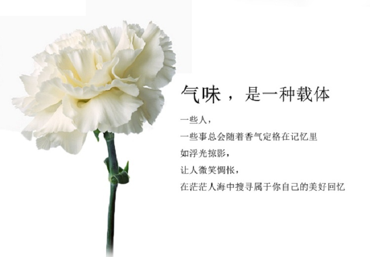 商品Diptyque|Diptyque蒂普提克无花果淡香水50ml-100ml,价格¥813,第8张图片详细描述