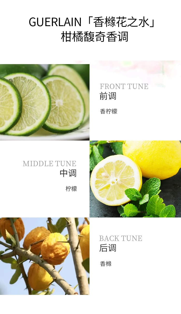 商品Guerlain|娇兰 古龙系列中性香香橼花之水EDC 100ml 柑橘馥奇香调,价格¥565,第8张图片详细描述