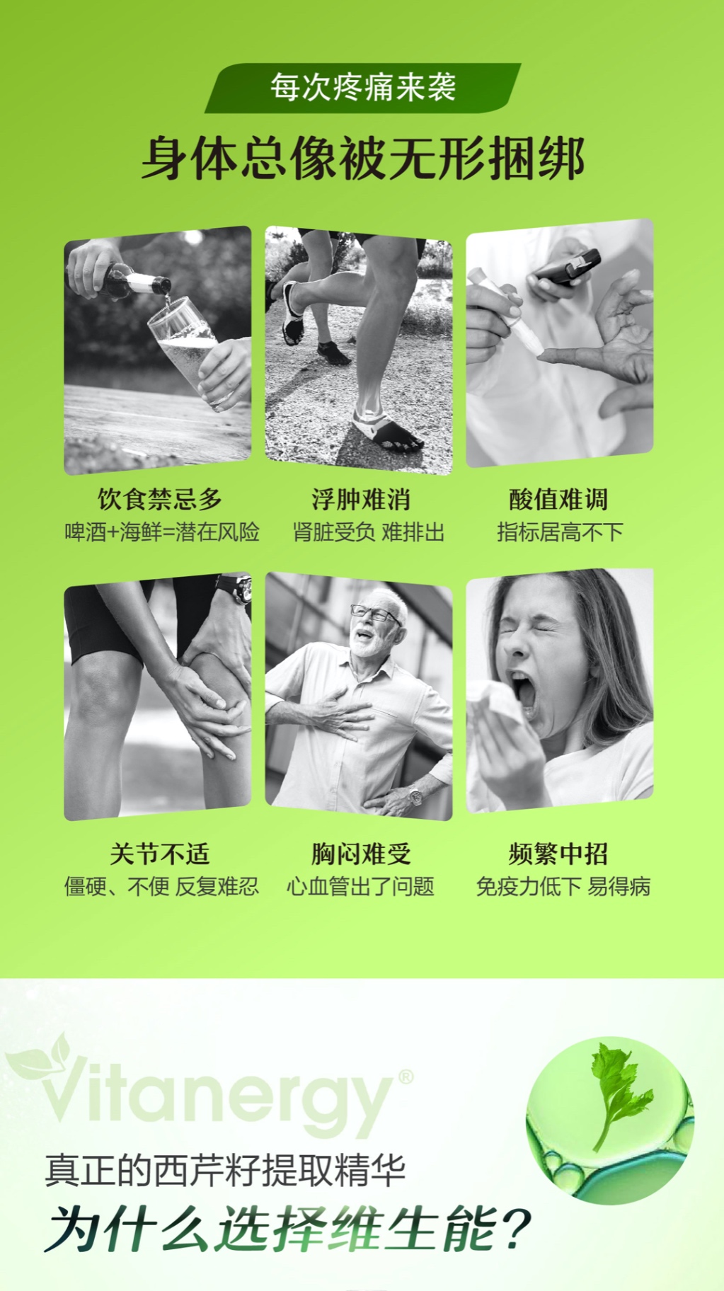 商品[国内直发] Vitanergy|【 2025年7月有效期】加拿大Vitanergy维生能芹菜籽精华150粒/瓶 缓解痛风 降低尿酸 | Celery Seed VCAP 150 ,价格¥96,第2张图片详细描述