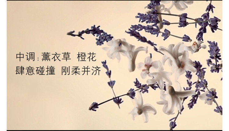 商品Yves Saint Laurent|YSL圣罗兰自由至上女士香水 EDP浓香水,价格¥458,第18张图片详细描述