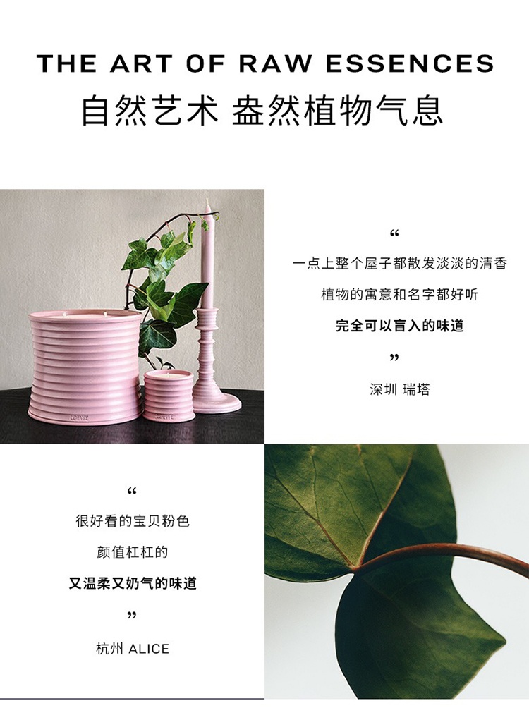 商品Loewe|Loewe罗意威香氛烛台330g 全系列,价格¥958,第13张图片详细描述