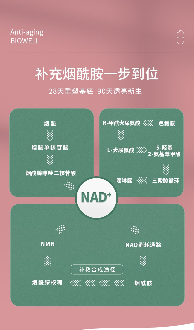 商品[国内直发] Biowell|【保税直发】进口Cel-R烟酰胺姜黄槲皮素补充剂辅酶一号,价格¥601,第6张图片详细描述