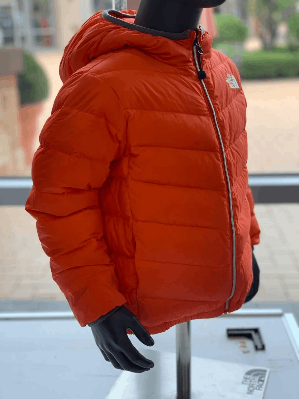 商品The North Face|【Brilliant|包邮包税】北面 NI1DM75SV 儿童 日常 羽绒服 帽子 A,价格¥856,第3张图片详细描述