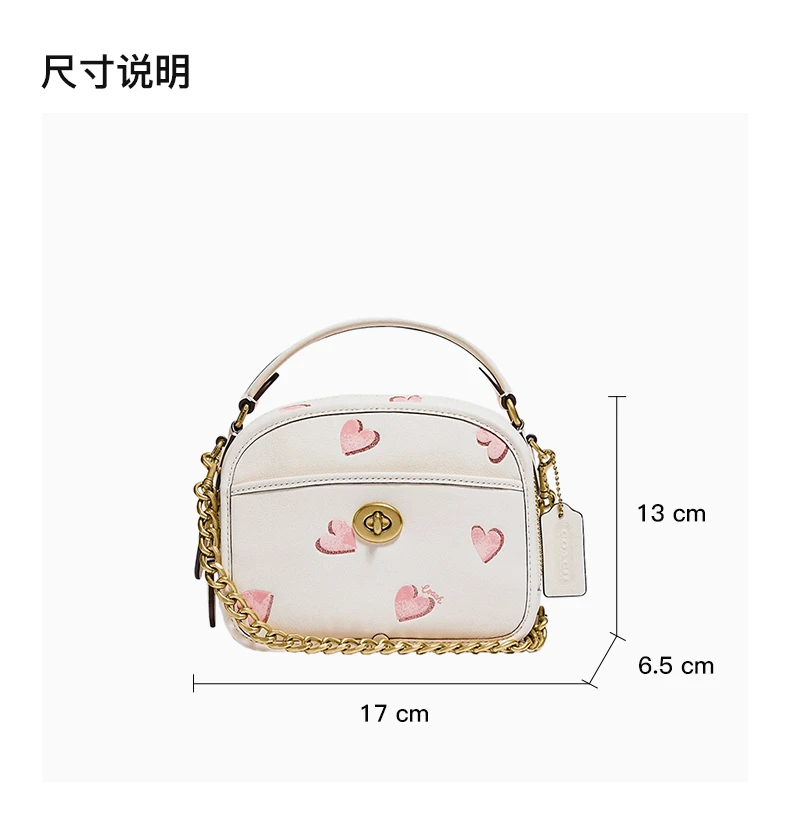 商品[国内直发] Coach|COACH 女士Lunchbox系列小号手拎包爱心印花可爱小圆包单肩斜挎包 C3920B4HA,价格¥1564,第3张图片详细描述