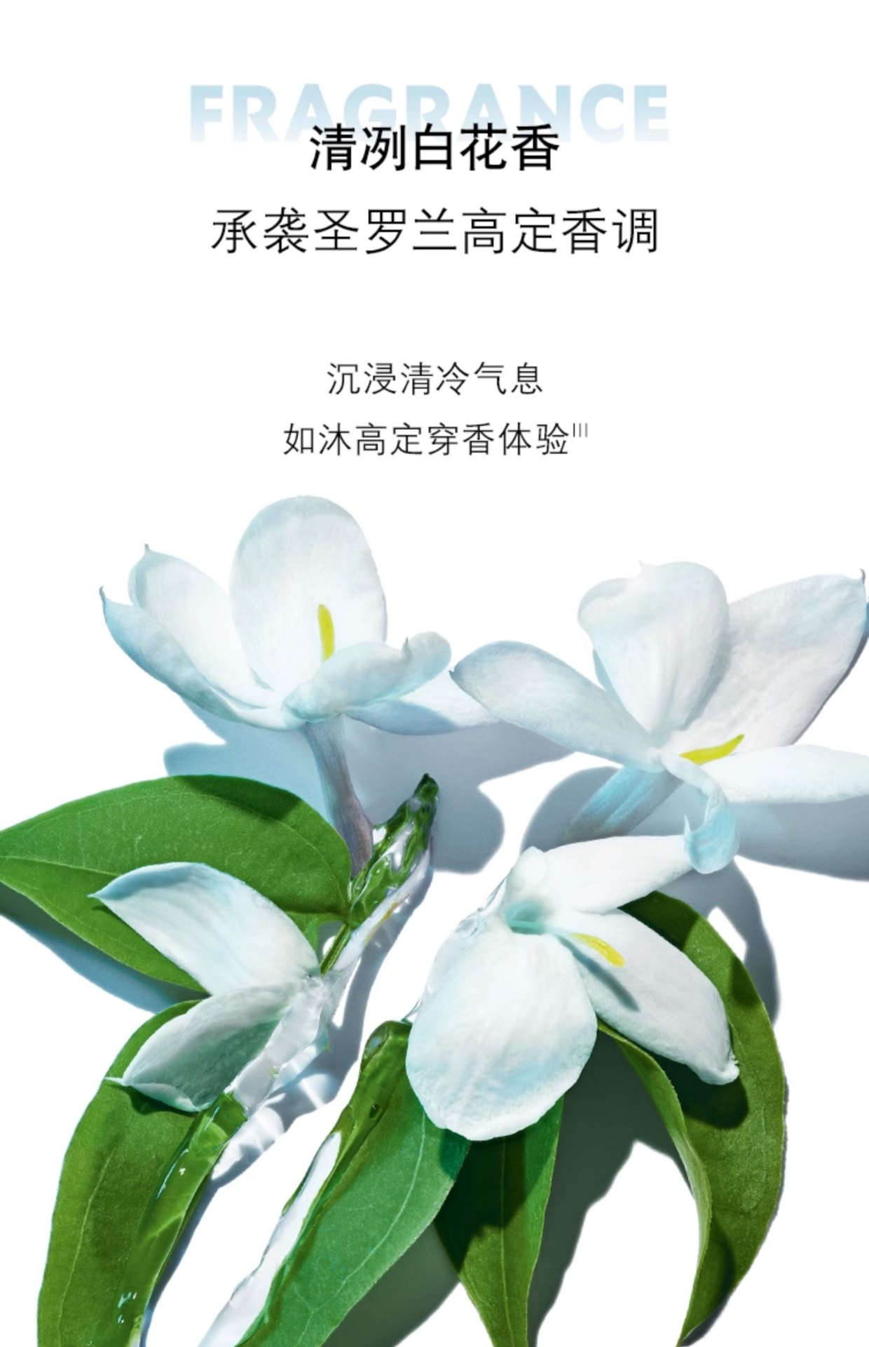 商品【原封正品】 Yves Saint Laurent|YSL圣罗兰 夜皇后洁面 洗面奶 125ml绵密泡沫温和清爽净透,价格¥351,第8张图片详细描述