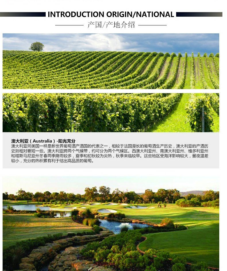商品[国内直发] Penfolds|奔富BIN407解百纳赤霞珠原瓶进口红酒整箱干红葡萄酒假一赔十支持验证,价格¥917,第4张图片详细描述