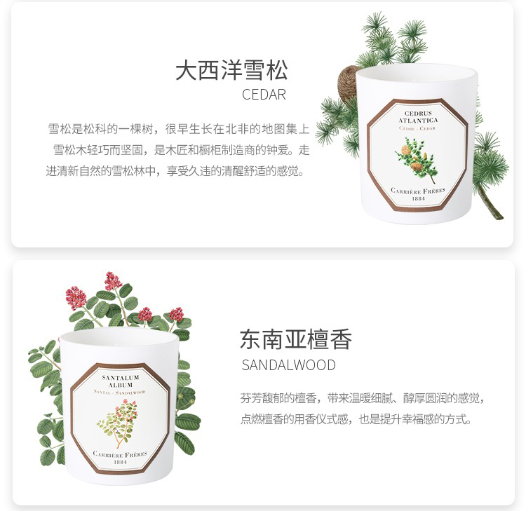 商品Carriere Freres|Carriere Freres法国植物学家全系列香薰蜡烛185g,价格¥373,第18张图片详细描述